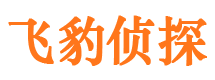 龙川市婚姻调查